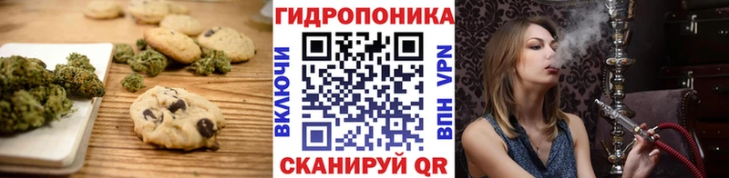 Купить где Рудня Canna-Cookies конопля