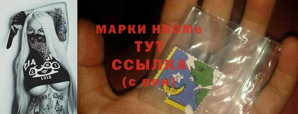 стаф Арсеньев