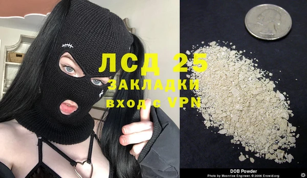 гашик Алексин