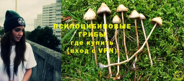 гашик Алексин