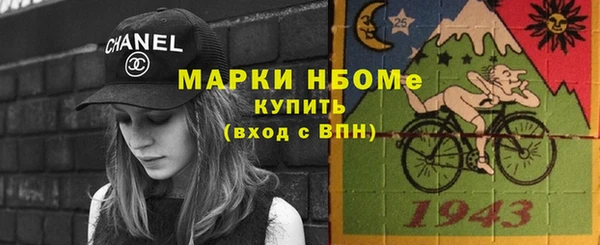 гашик Алексин