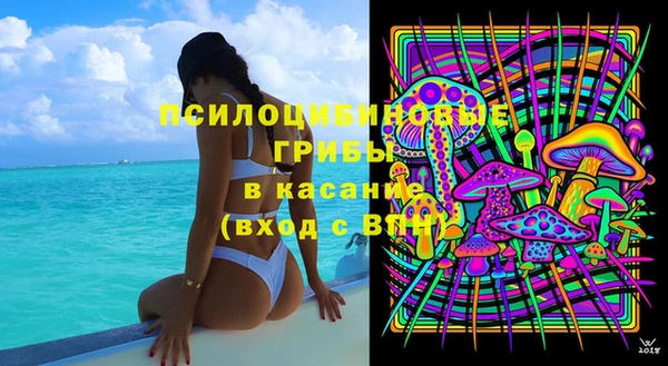 гашик Алексин