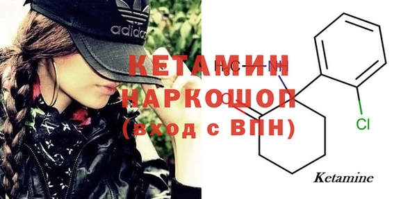 гашик Алексин