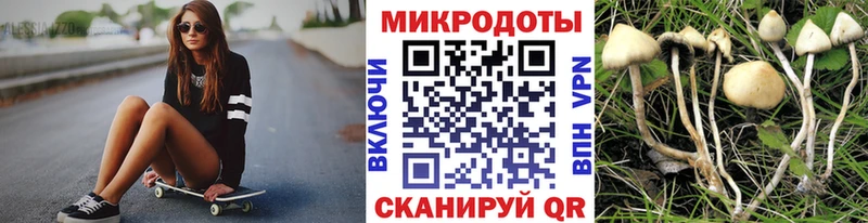 Псилоцибиновые грибы Cubensis Рудня